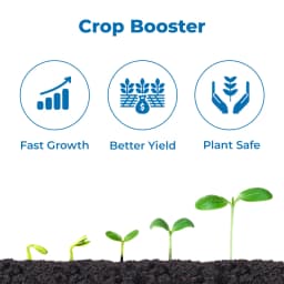 BACF Aminox , Amino acids , Plant cuticle waxes, and honey waxes, For All Type of Horticulture And Field Crops 3