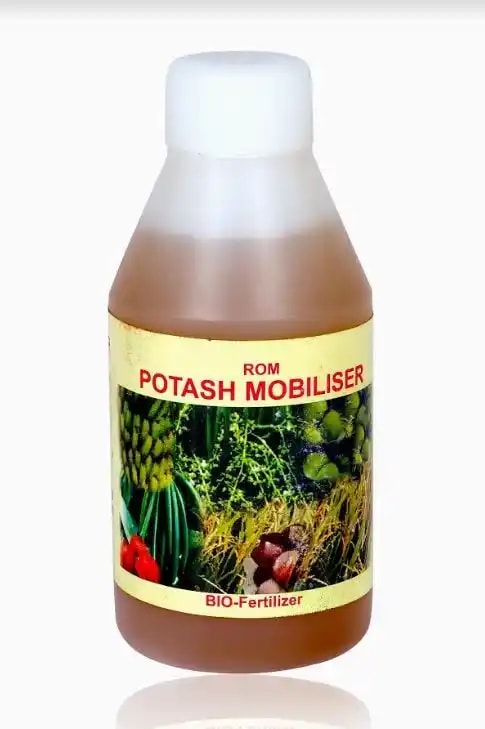 रोम पोटाश मोबिलाइज़र (तरल जैविक उर्वरक) मिट्टी में पोटेशियम को गतिशील बनाने के लिए