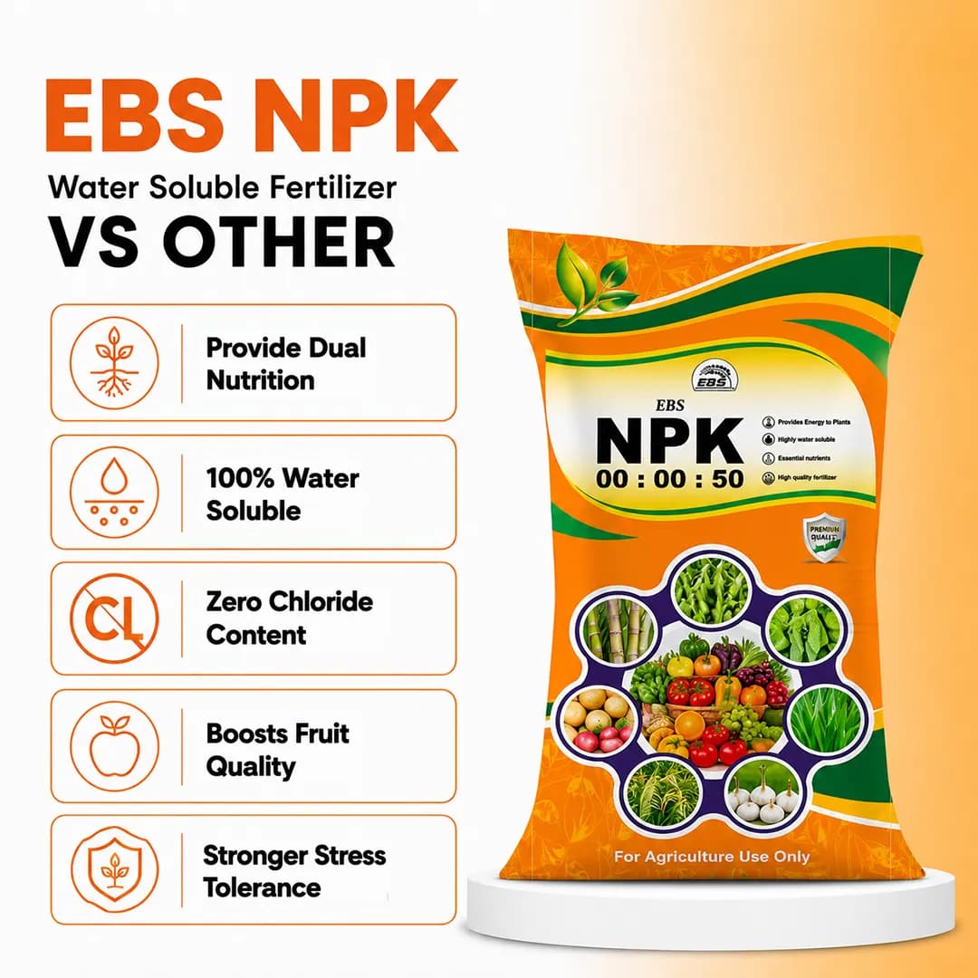 EBS NPK 0:0:50 Fertilizer - Potassium Sulphate (25KG) - Image 6