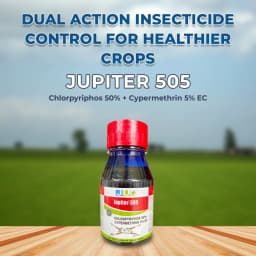 Ju JUPITER-505 Chlorpyriphos 50% + Cypermethrin 5% EC Insecticide, For Managing Broad Range Of Insects In Cotton And Paddy 2