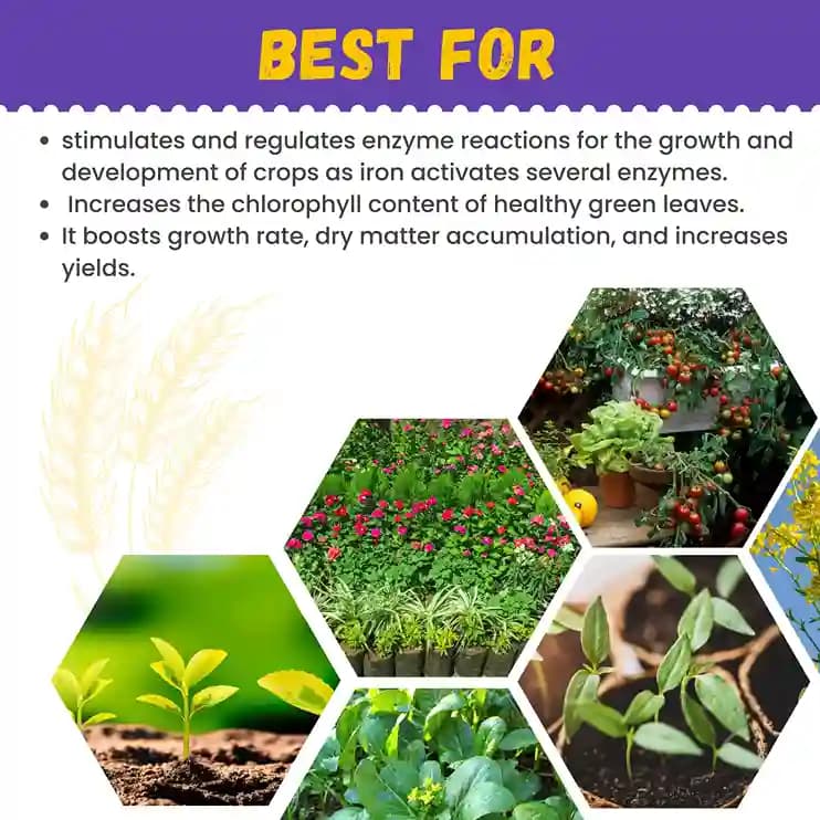 Katyayani Micronutrient Iron EDTA Fe 12% EDTA Fertilizer For Plant And Overall Development. - Image 9