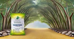 SRI SAI FORESTRY Karanja (Millettia Pinnata) Indian Beach Tree, Pongamia Pinnata, Pongame oil tree, Liquid Fuel Tree Seeds 5