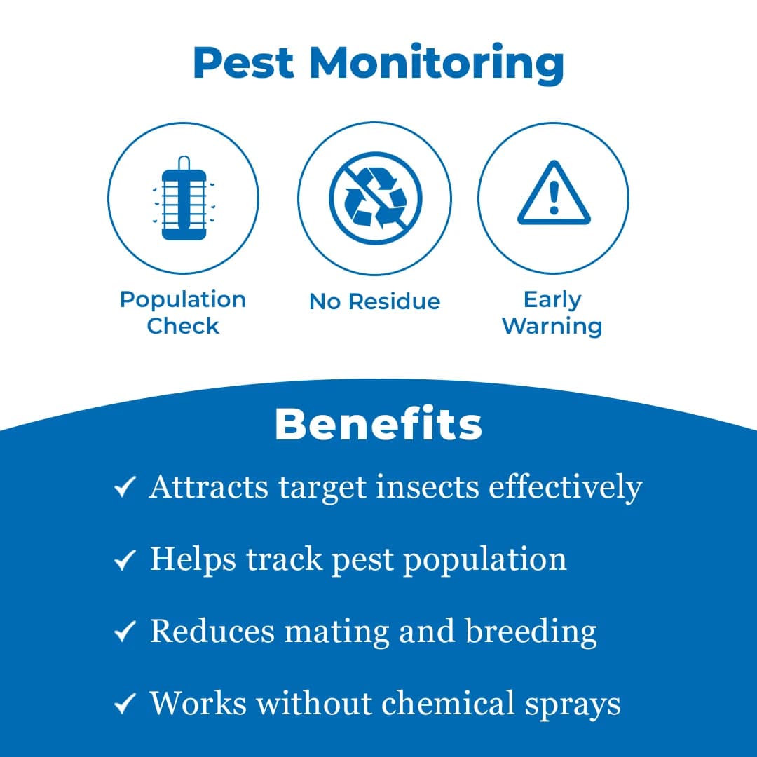 Chipku Funnel Trap With Spodoptera Litura Lure - Image 3