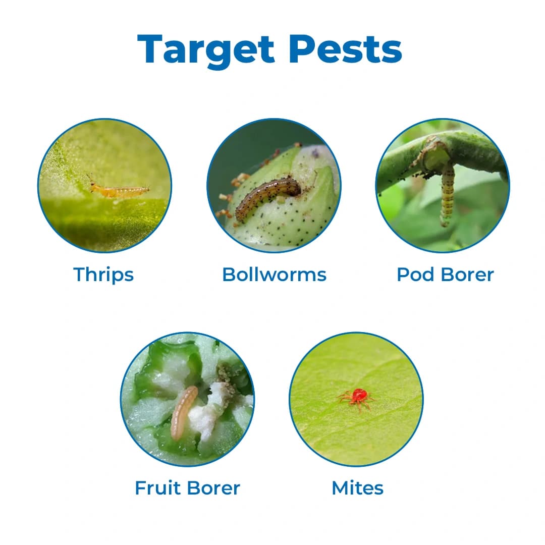 Willowood EMACTO Emamectin Benzoate 5% SG, Best Against Bollworms, Diamond Black Moth - Image 3