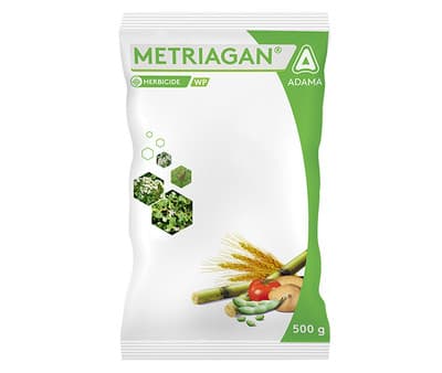 Adama Metriagan Metribuzin 70% WP, Selective Systemic Herbicide for the Control of Annual Broad-Leaved Weeds and Grasses In Potatoes. - Image 1