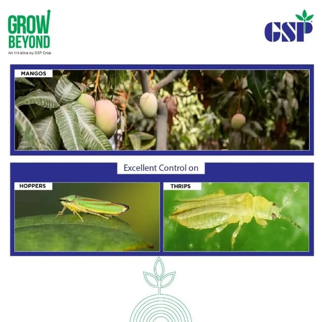 GSP Yamraz Tolfenpyrad 15% EC Insecticide, Efficient For Sucking, Chewing Pests In Vegetables And Field Crops - Image 4