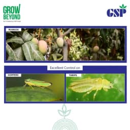 GSP Yamraz Tolfenpyrad 15% EC Insecticide, Efficient For Sucking, Chewing Pests In Vegetables And Field Crops 4