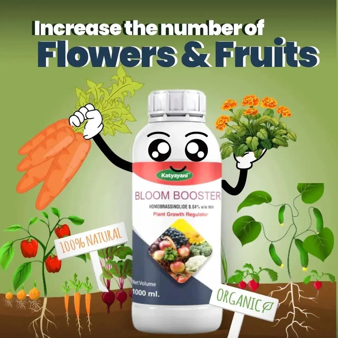 Katyayani Bloom Booster Homobrassinolide 0.04% Plant Growth Regulator, Use for Cotton, Brinjal, Chili, Banana, Cabbage, Cauliflower, Vegetables, Fruit - Image 2