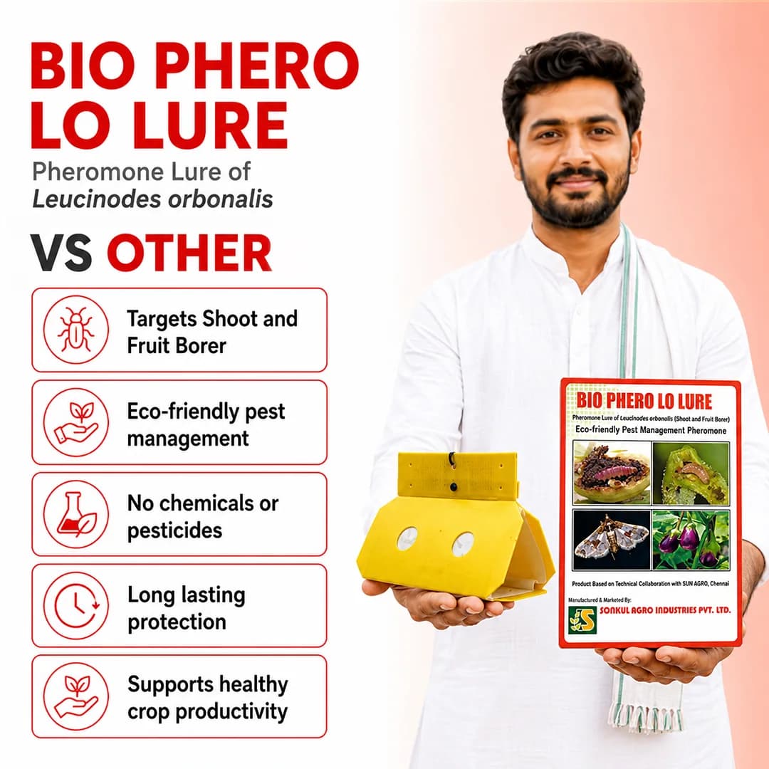 ಸೋನಕುಲ್ ಅಗ್ರೋ ಇಂಡಸ್ಟ್ರೀಸ್ ಬಯೋ ಫೆರೋ LO (ಲ್ಯೂಸಿನೋಡ್ಸ್ ಆರ್ಬೊನಾಲಿಸ್) ಲ್ಯೂರ್ & ಡೆಲ್ಟಾ ಟ್ರ್ಯಾಪ್ ಕಾಂಬೋ - ಬದನೆ ಕಾಯಿ & ಚಿಗುರು ಕೊರಕಕ್ಕೆ - Image 3