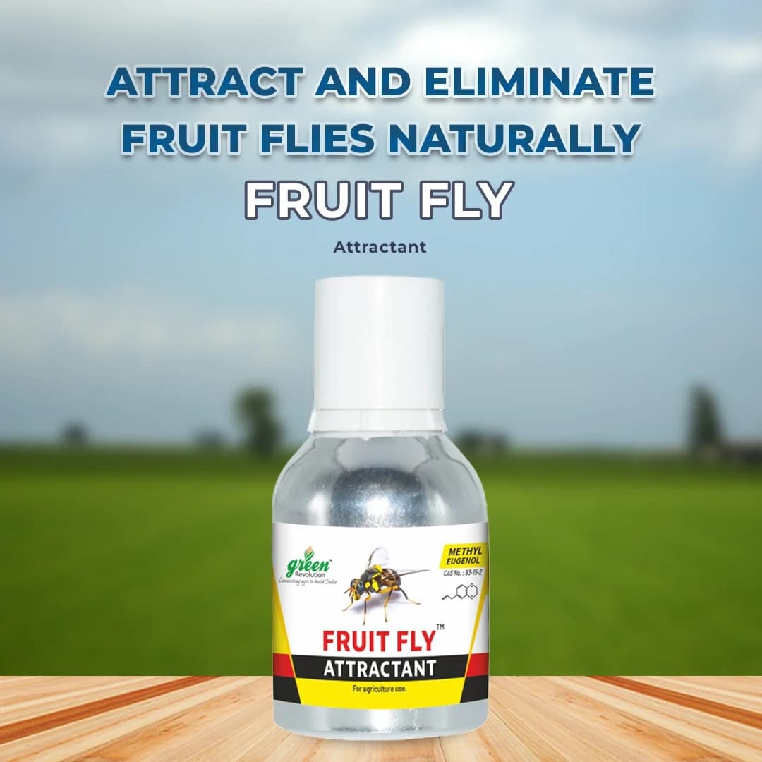 Fruit Fly Trap Attractant Methyl Eugenol Liquid For Bactrocera Dorsalis, Useful For Preparing Traps. - Image 2