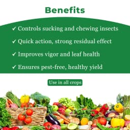 BACF Wertisphere Verticelium lacanii 1.15% WP, 1 x 10^8 CFUs Per gm. min Based On A Beneficial Entomophagous Fungus Verticillium Lecanii 4