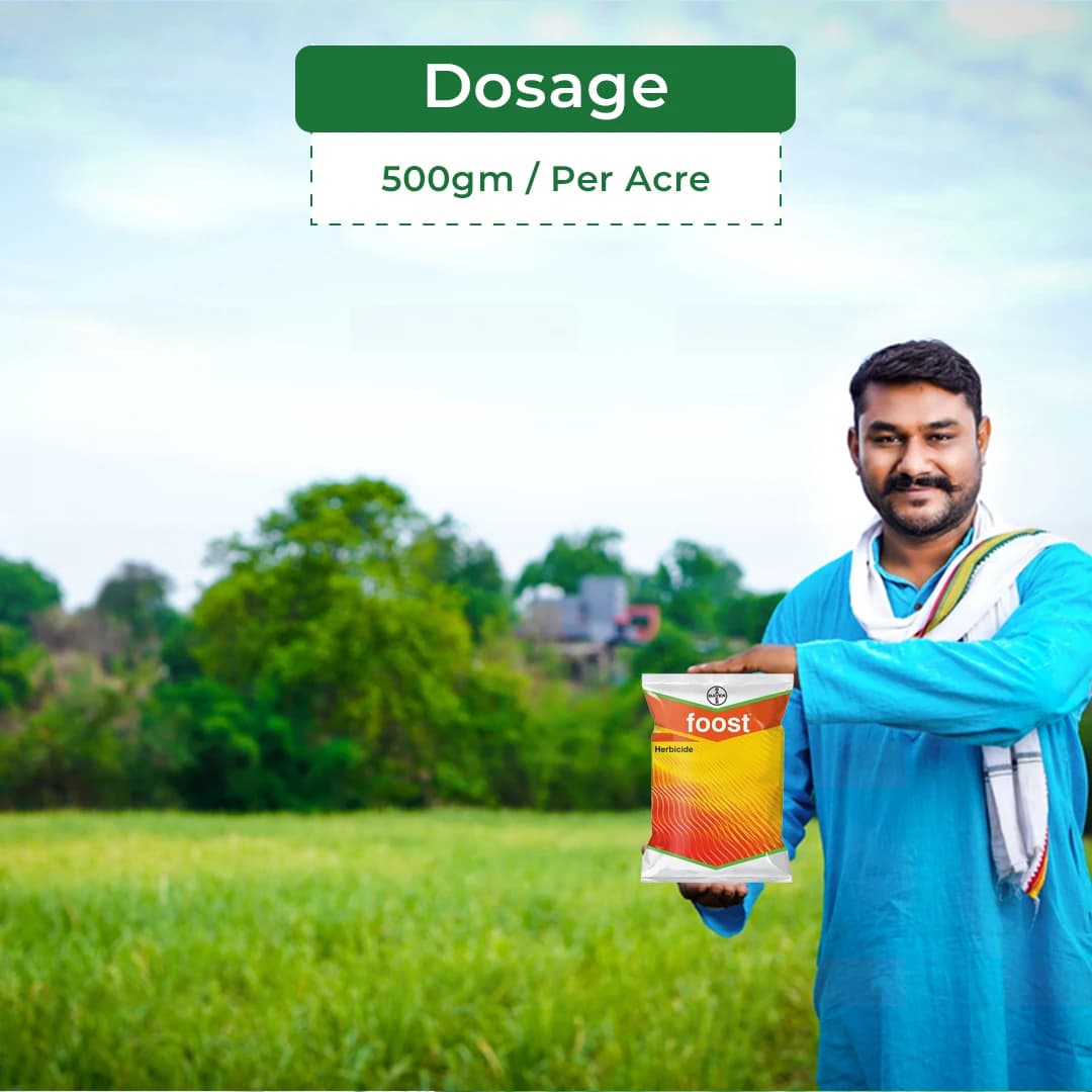 Bayer Foost Atrazine 50%WP Selective Herbicide For Maize And Sugarcane Crops - Image 5
