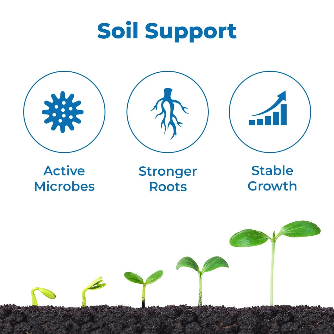 जियोलाइफ विगोर फ्रूट साइज एन्हांसर: सभी फसलों के लिए जैविक उपज संवर्धक, जड़ से लेकर शोट तक पौधों का सम्पूर्ण विकास - Image 3