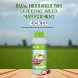 Adama Dekel Propaquizafop 5% + Oxyflurofen 12% EC, Broad Spectrum Herbicide for Both Types of Grasses and Broad Leaved Weeds in Onion Crop 2