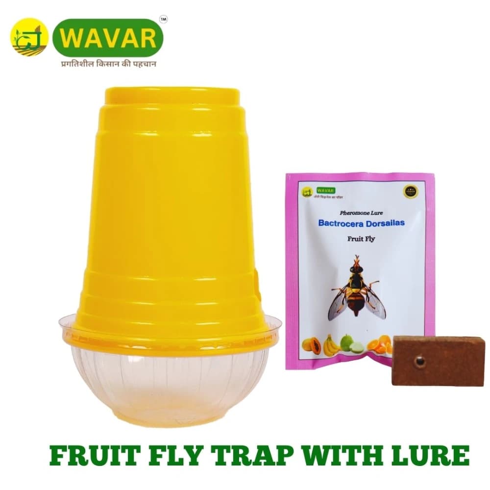 WAVAR Fruit Fly Trap Dorsalis Lure, Bactrocera Dorsalis, Effective Fruit Fly Pest Control - Image 4