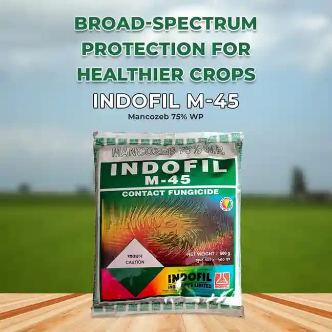 Indofil M-45 Fungicide - Image 2