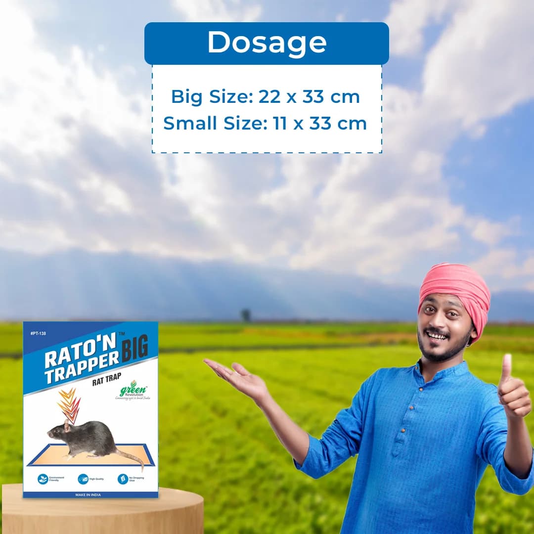 Mouse Glue Trap, RATO\'N TRAPPER Can be used for Home, Warehouse, Agriculture, Factory, False Ceiling. Ready to use product. - Image 5