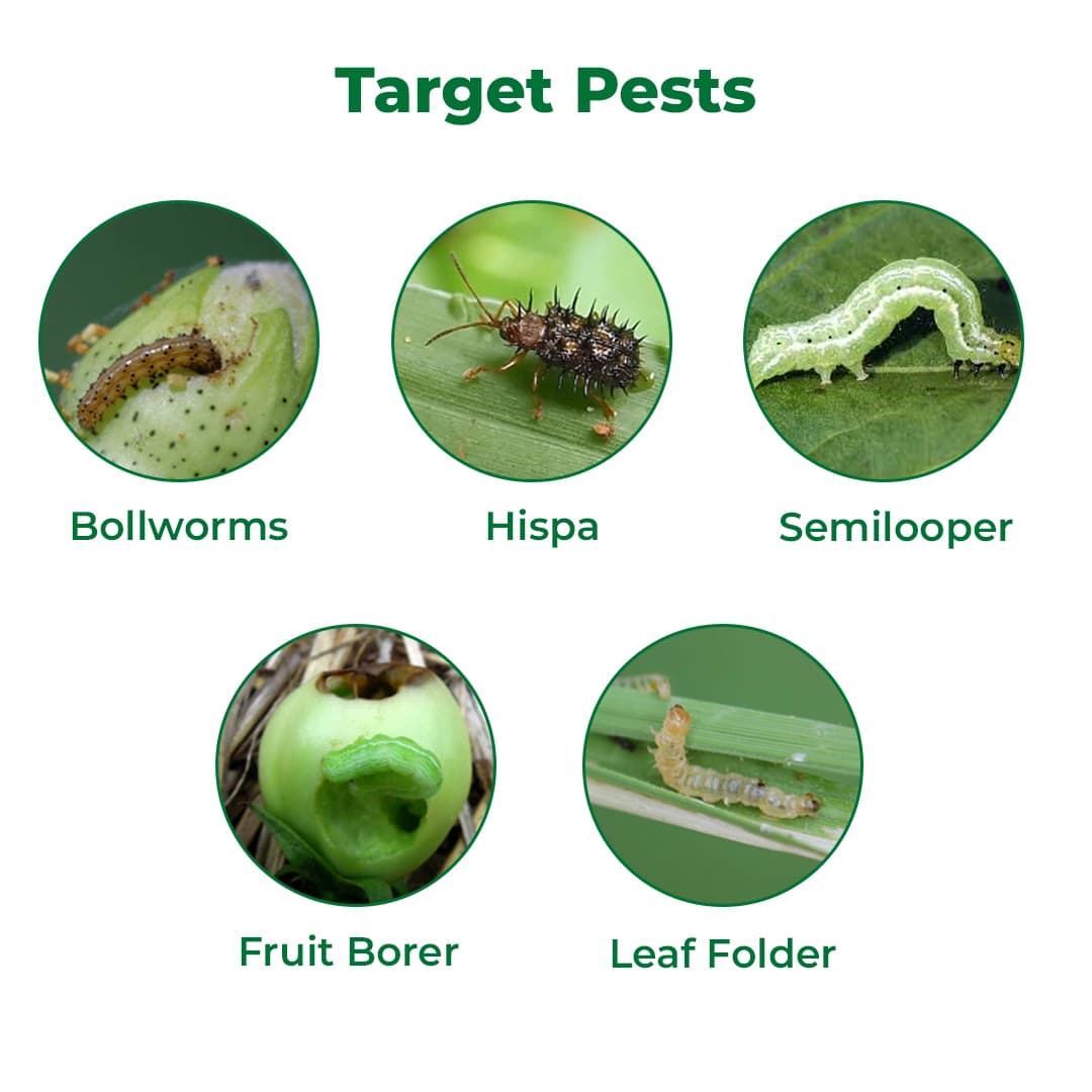 Crystal Crop Billo Ememectin Benzoate 1.9% EC. Effective insecticides for Cotton Bollworms and Tomato Fruit Borer - Image 3