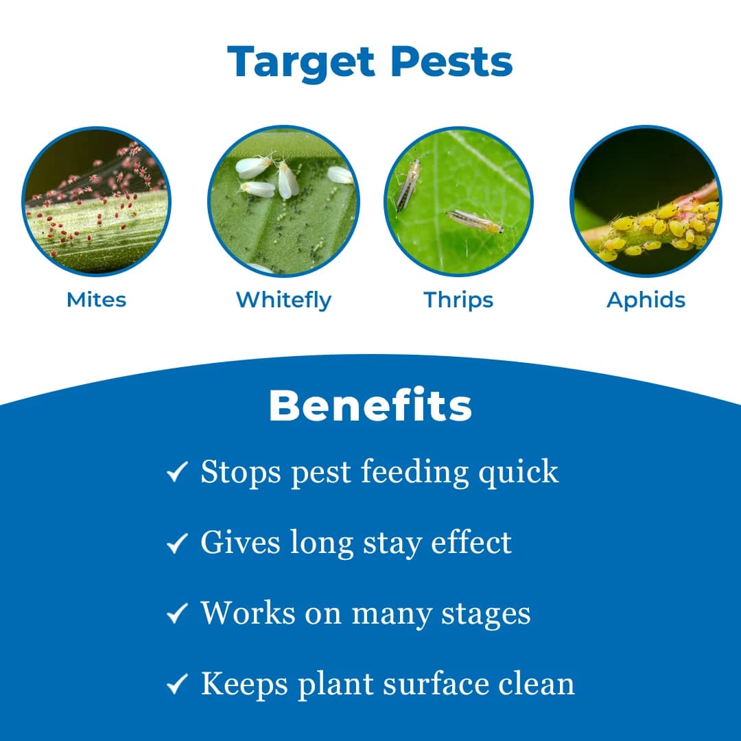 EBS Fifty Horeses Diafenthiuron 50% WP Board Spectrum Insecticide, Control Various Insect Pests and Mites - Image 3