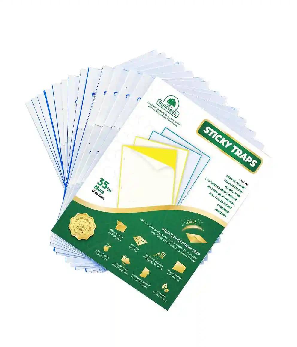 Gumtree Blue Sticky Traps (250mm x 330mm) Non-Pesticide & Eco Friendly Traps, Dust free with both side Release Paper. - Image 3