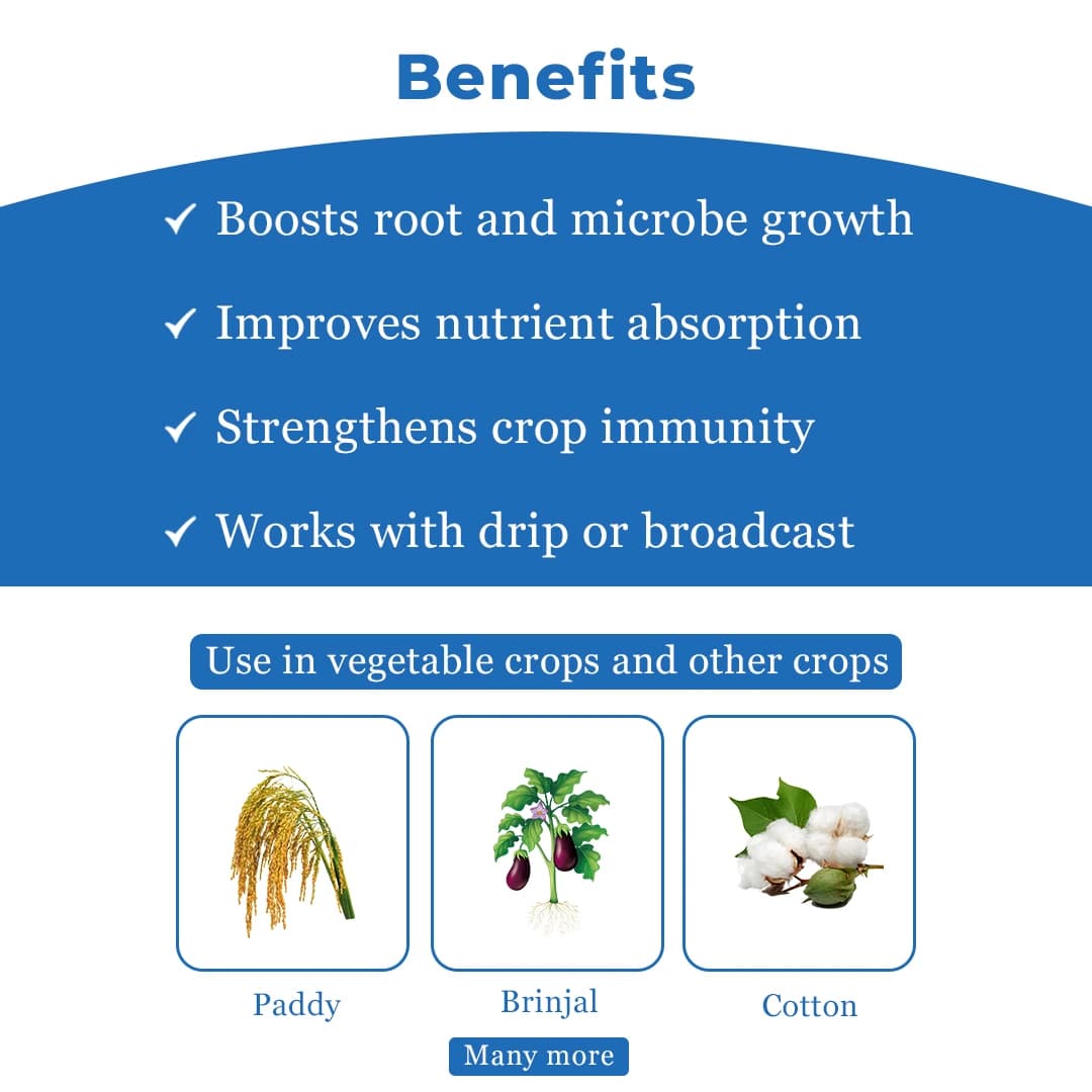 Dhanustin Fungicide - Carbendazim 50% WP - Image 4