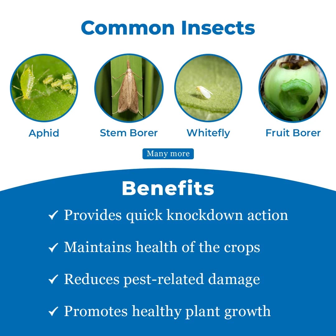 Crystal Dursban Chlorpyriphos 20%EC Insecticide, Broad-Spectrum Insecticide - Image 3