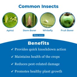 Crystal Dursban Chlorpyriphos 20%EC Insecticide, Broad-Spectrum Insecticide 3