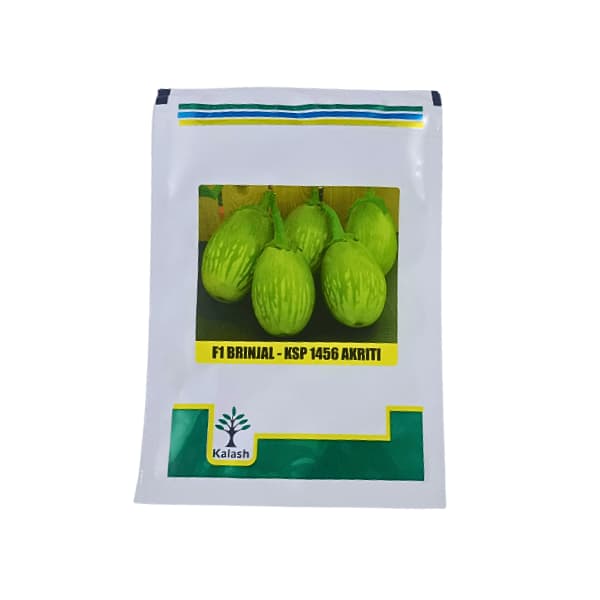Kalash KSP 1456 AKriti F1 Hybrid Brinjal Vegetable Seeds, Suitable For Rabi, Kharif, Summer