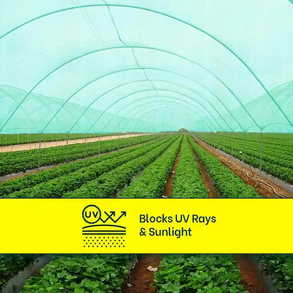 Mipatex Garden Shade Net 75% Shade, UV Stabilized, Sun Protected, Mipatex Green shade Net is made of 100% UV stabilized high-density polyethylene - Image 9