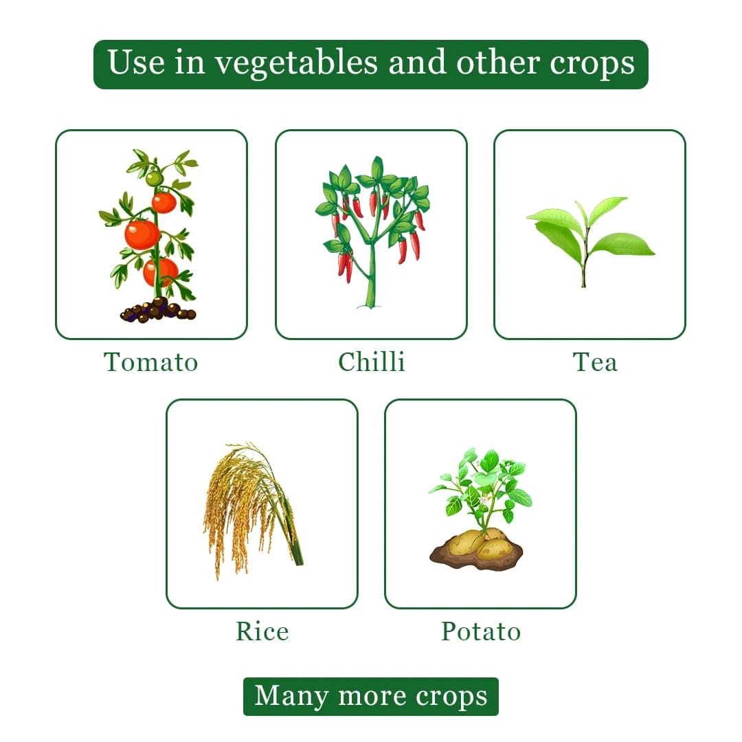 Krishi Rasayan Krosin Streptomycin Sulphate 90 + Tetracycline Hydrochloride 10 SP - Image 4