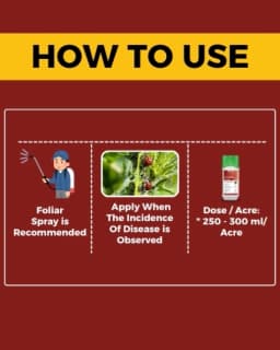 Katyayani Dr. Zole Azoxystrobin 11 % + Tebuconazole 18.3 % SC Systemic Fungicide Powerful Broad Spectrum 5