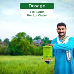 Ramcides Allwin Top Plus - Specialty Fertilizer 5