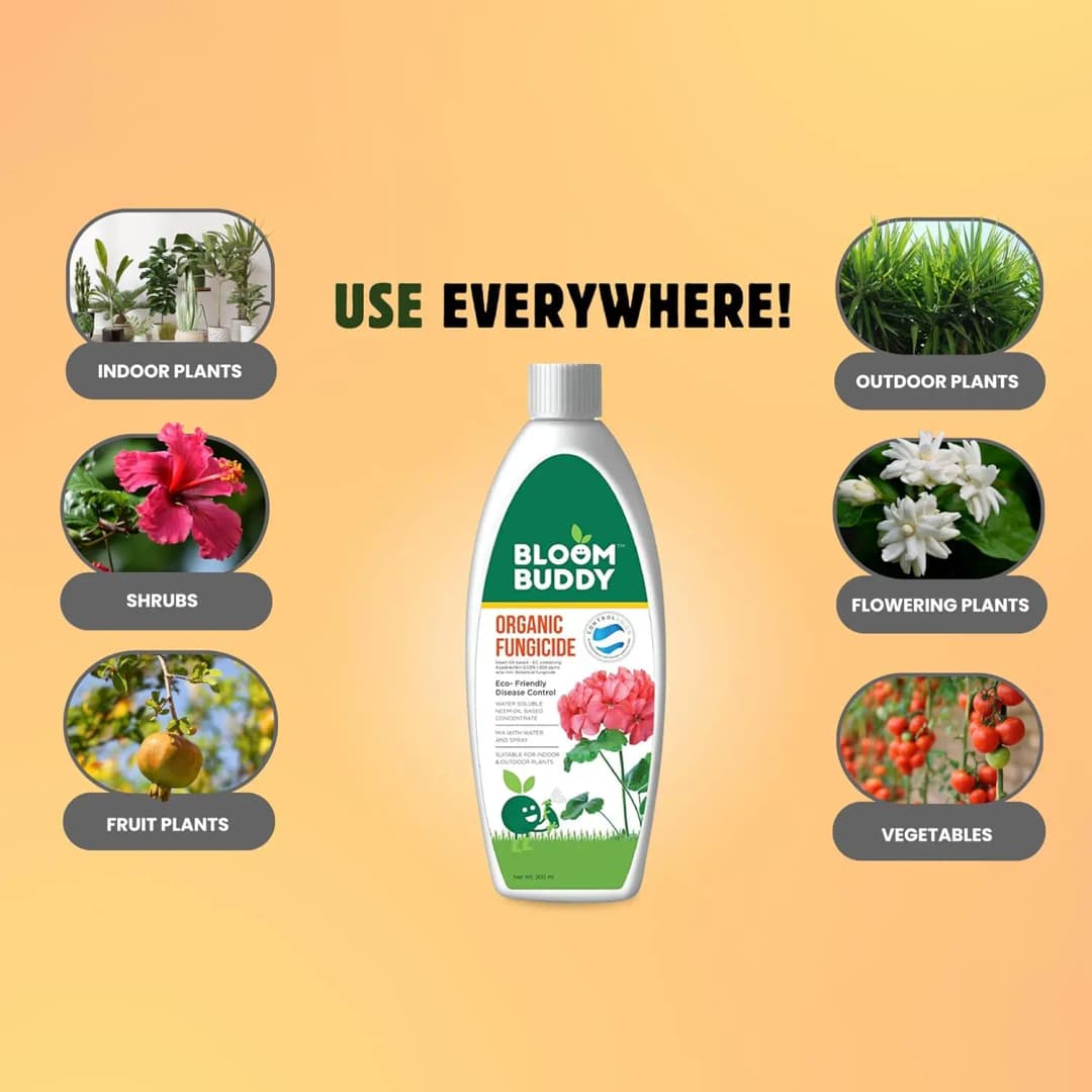 Bloom Buddy Eco Friendly Fungicide For Effective Control Of Wide Range Of Fungal Disease - Image 5