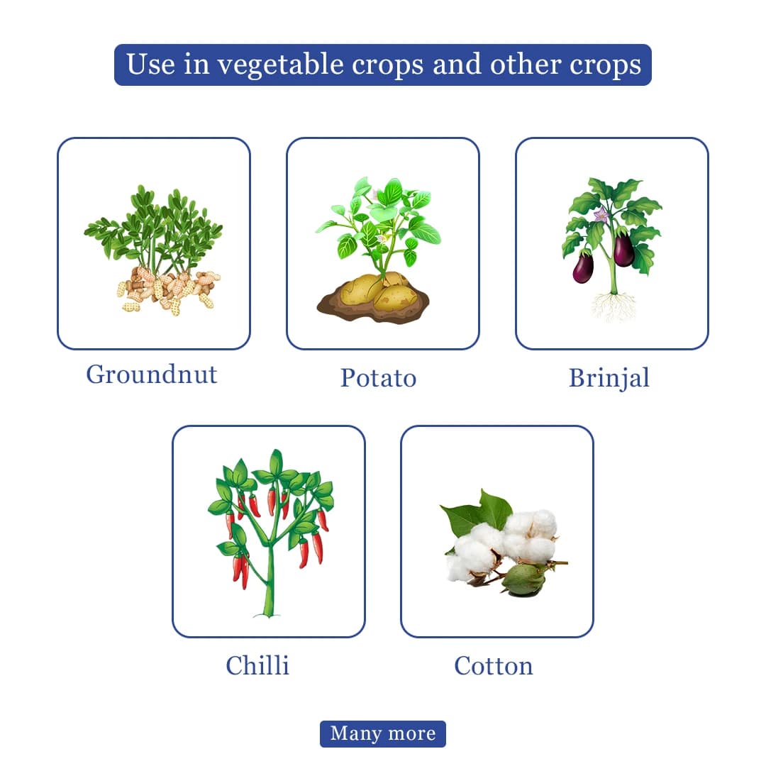 Adama Suckgan - Thiamethoxam 25% WG, Highly Effective And Systemic, Belongs to Neonicotinoid Group. - Image 4
