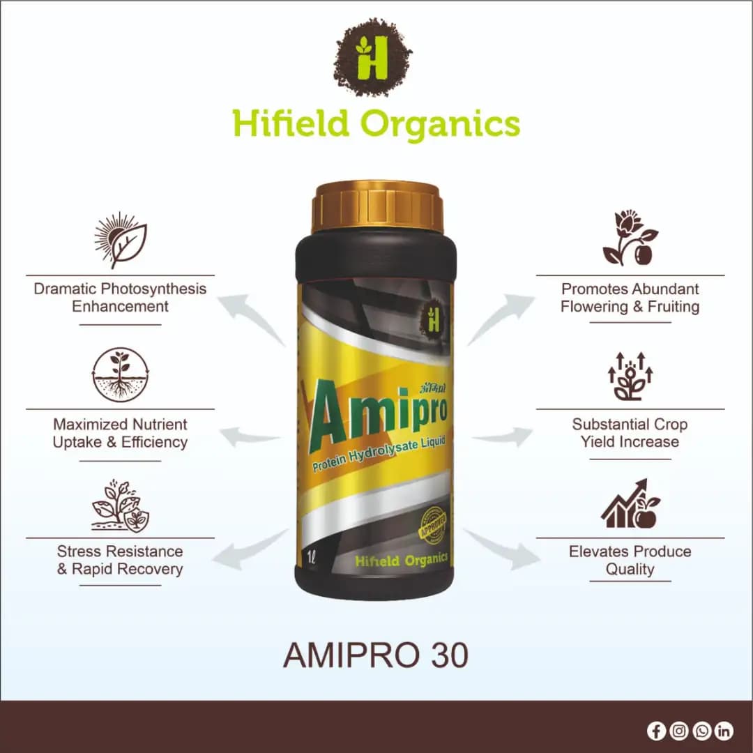 Hifield Amipro 30% SL Protien Hydrolysate Liquid. Amino Acid, Organic Nitrogen Supplement, Proteins Supplement, Energy booster, Immunity Booster. - Image 3