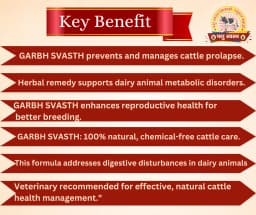 PASHU SVASTH GARBH SVASTH, Herbal Cattle Prolapse And Uterine Health Solution 2
