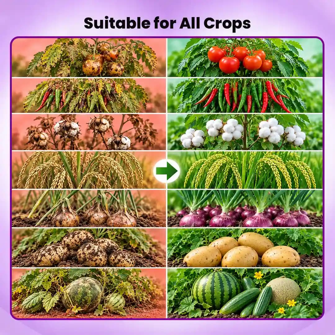 GBL Florex Flowering And Growth Enhancer, Branching And Yield Boost In All Crops - Image 5