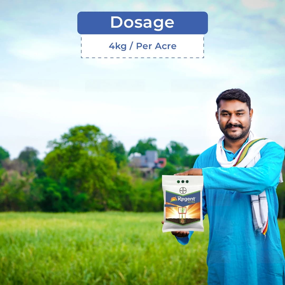 Bayer Regent Ultra Insecticide Fipronil 0.6% GR, Can Be Used At Any Stage Of The Crop. - Image 5