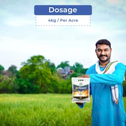 Bayer Regent Ultra Insecticide Fipronil 0.6% GR, Can Be Used At Any Stage Of The Crop. 5
