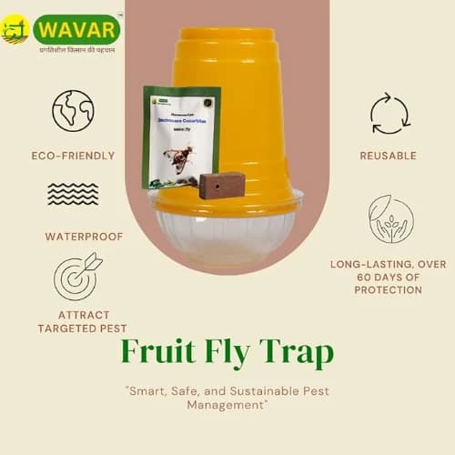 WAVAR Fruit Fly Trap with Bactrocera Cucurbitae Lure, Effective For Melon Fruit Fly Control In Cucurbit Crops - Image 2