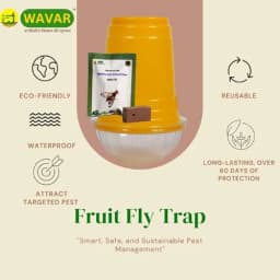 WAVAR Fruit Fly Trap with Bactrocera Cucurbitae Lure, Effective For Melon Fruit Fly Control In Cucurbit Crops 2