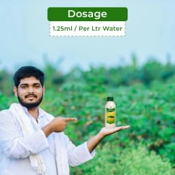 Bayer Buonos - Tebuconazole 38.9%, Systemic Fungicide, For Control Of Leaf Spot Disease And Powdery Mildew 5