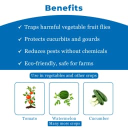 BACF Vector 360 Vegetable Block Lures, Cuelure, Bactrocera Cucurbitae Lures 4