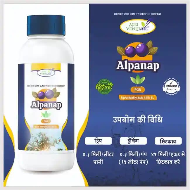 Agriventure Alpanap Alpha Naphtyl Acid 4.5% SL, Induces Flowering & Prevents Fall Of Unripe Fruits And Shedding Of Buds - Image 4