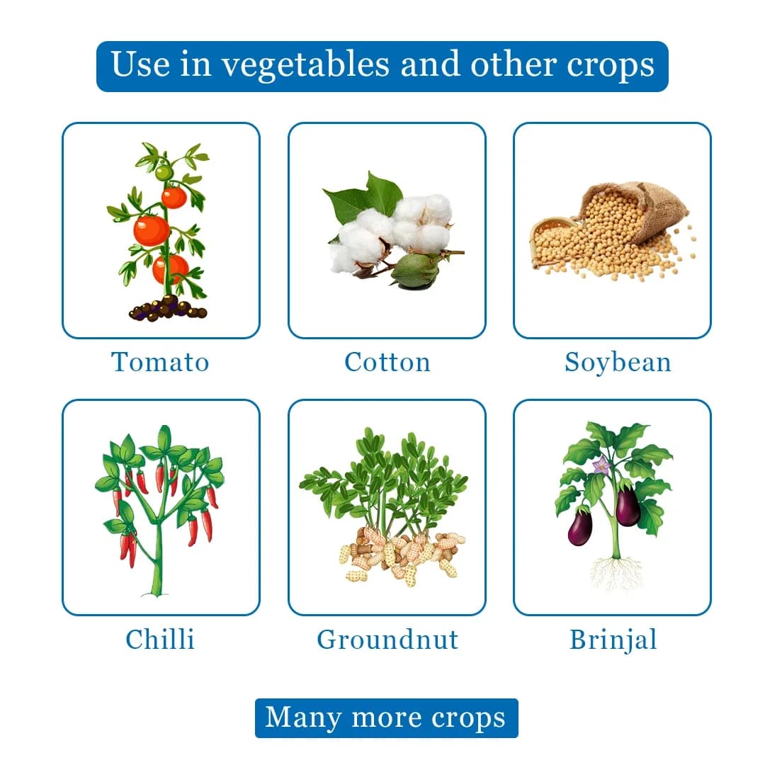 पेस्ट आउट - रस चूसने वाले कीट नियंत्रण के लिए, जैसे थ्रिप्स, जैसिड, होपर, इल्ली, सफ़ेद मक्खी, मीली बग्स और विभिन्न प्रकार के कीट। - Image 4