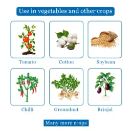 पेस्ट आउट - रस चूसने वाले कीट नियंत्रण के लिए, जैसे थ्रिप्स, जैसिड, होपर, इल्ली, सफ़ेद मक्खी, मीली बग्स और विभिन्न प्रकार के कीट। 4