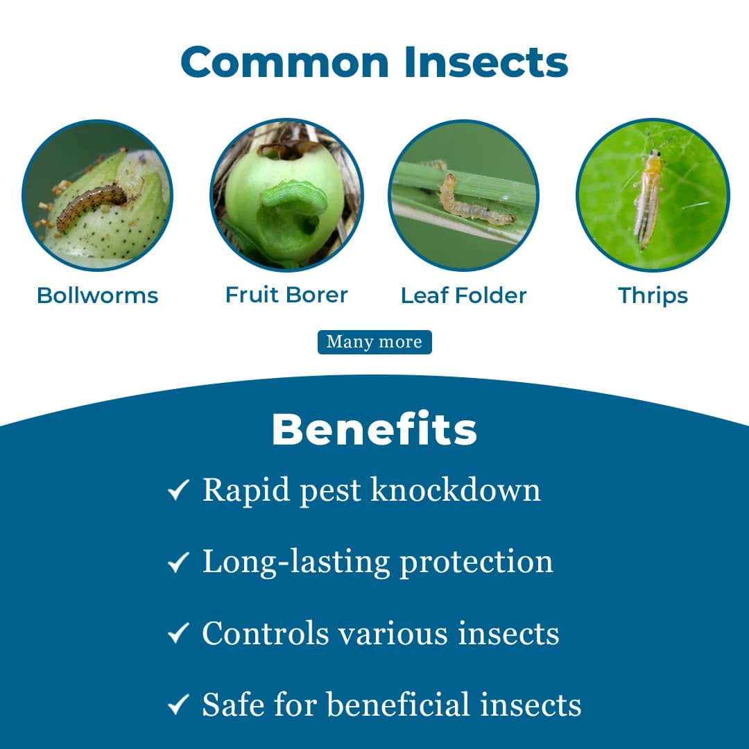 Decis 100 EC Insecticide - Image 3