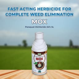 BACF Mox Paraquat Dichloride 24% SL Herbicide , Target To Grassy And Broadleaved weeds and other weeds pests 2