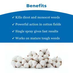 Godrej Hitweed Maxx Pyrithiobac Sodium 6% + Quizalofop ethyl 4% MEC, Early Post-Emergence and Selective Herbicide 4