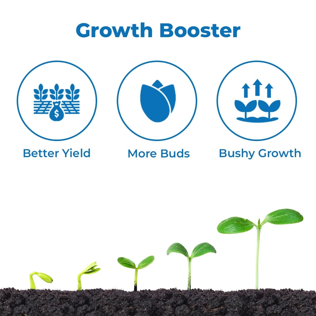 Zeal Biological CYTOKINE Growth Stimulant, Promotes Overall Plant Health And Resilience, Reducing Damage From Environmental Stress - Image 3